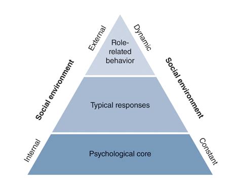 <b>Personality</b> <b>psychology</b> is a branch of <b>psychology</b> that examines <b>personality</b> and its variation among individuals. . Psychology of personality quizlet